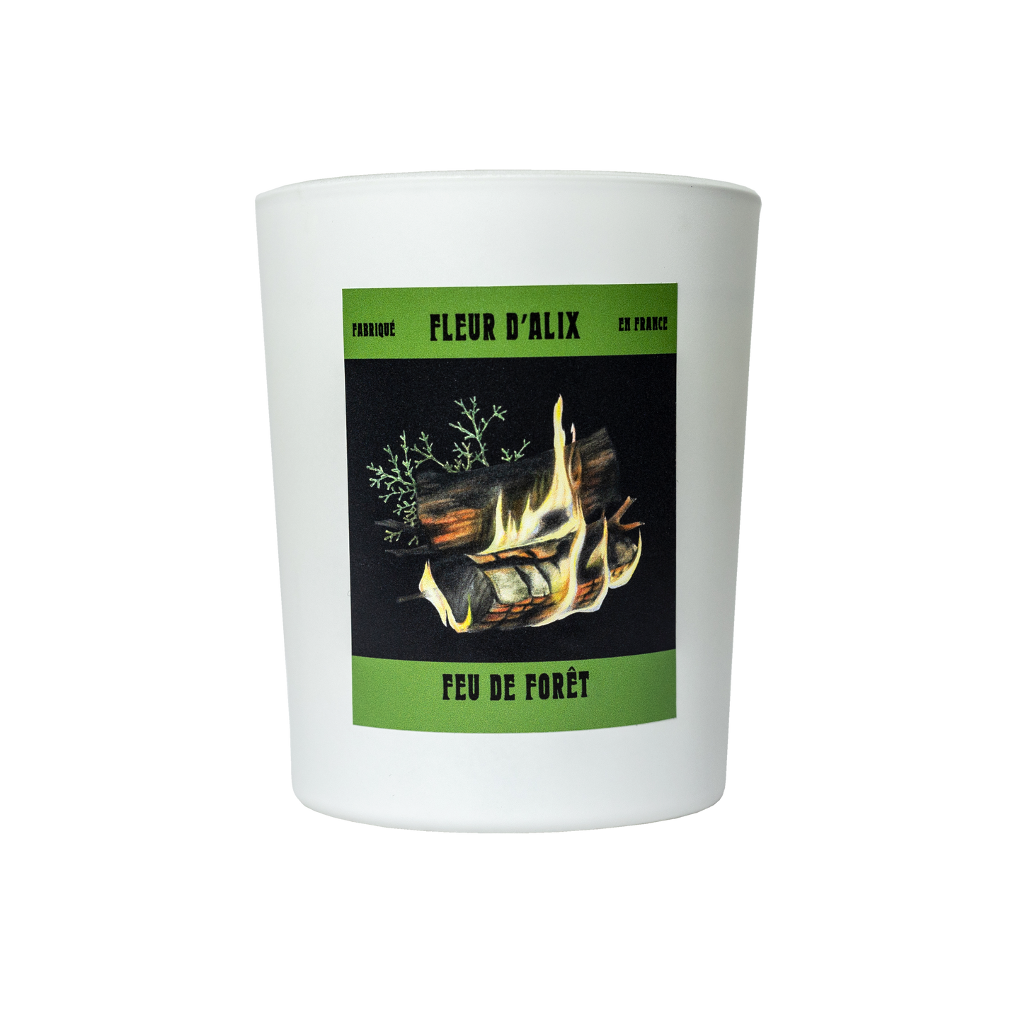 Feu de Forêt