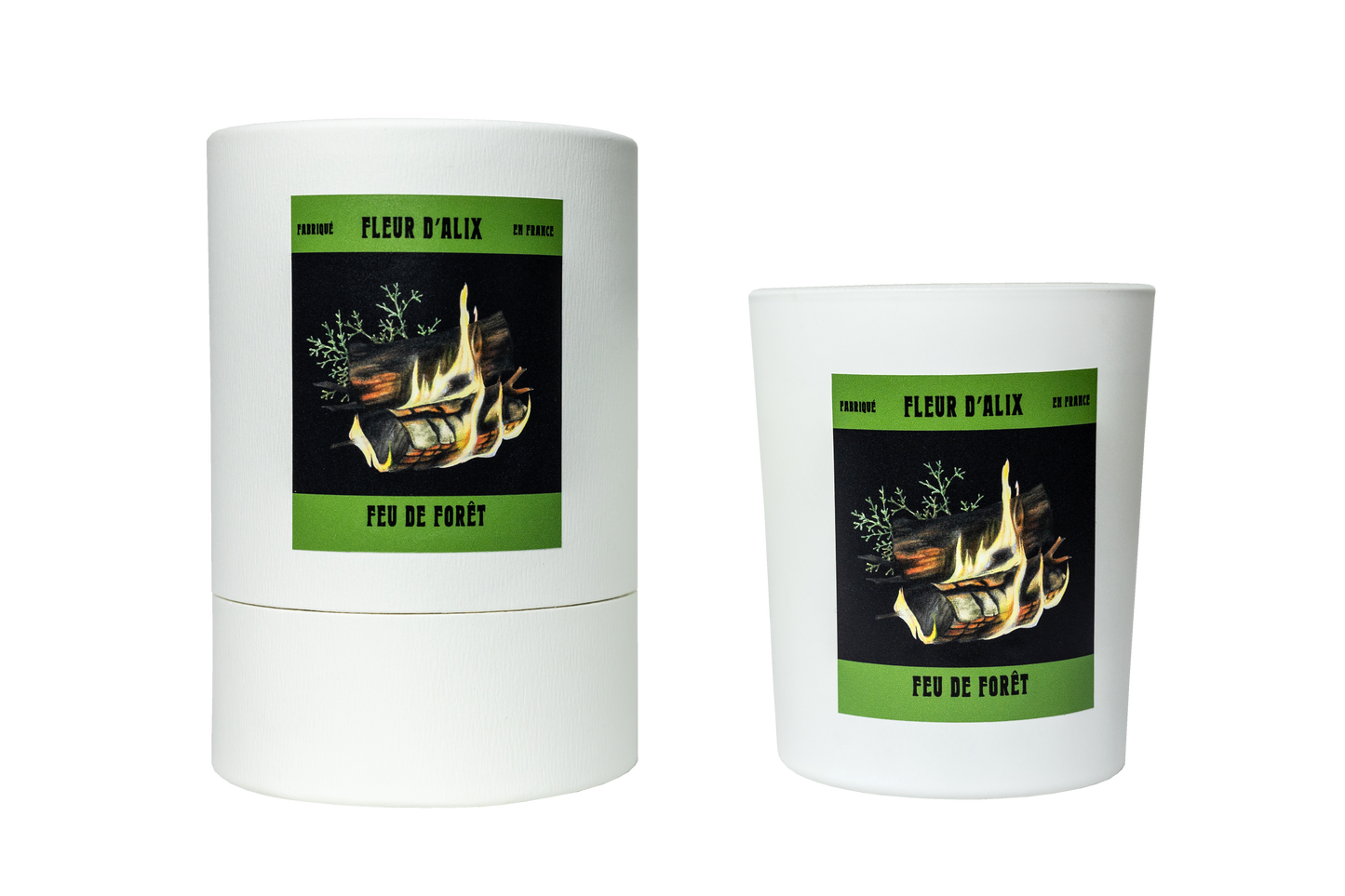 Feu de Forêt