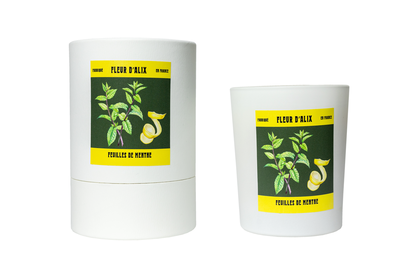 Menthe